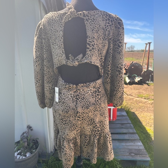 NEW Maeve by Anthropologie WOMENS Knit Cut-Out Mini Dress SIZE 6 - Picture 15 of 15